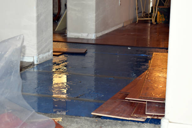 Professional Water Damage Restoration technician working in Pointblank, TX